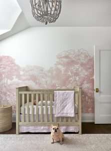 Kids and Nursery Bedroom Inspiration