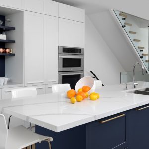 Contemporary Navy and White Kitchen Riverdale Toronto Home