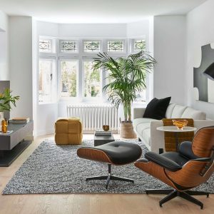 Living Room Design and Build