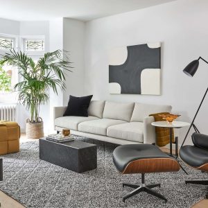 Living Room Design and Build