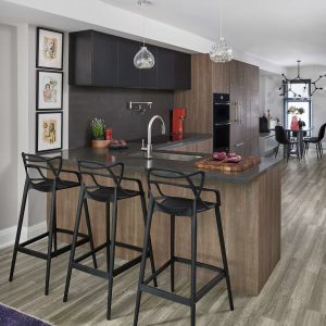 Modern Kitchen Riverdale Toronto Home