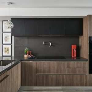 Modern Kitchen Riverdale Toronto Home