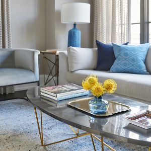 Living Room Design and Build