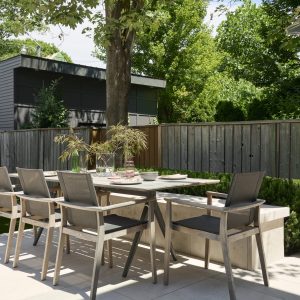 Backyard Dinner Table With Fence